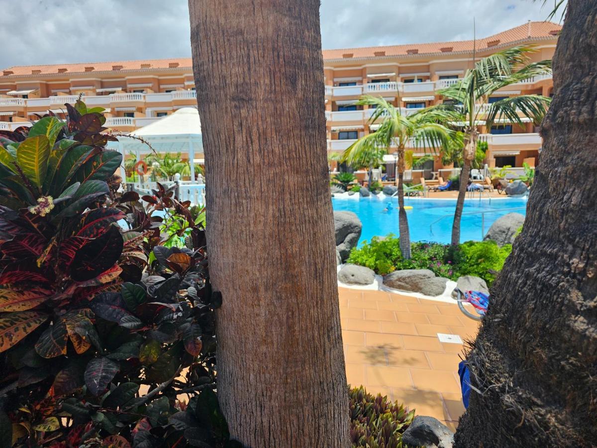 Tenerife Holidays Deluxe, Royal Garden, Las Americas Плая-де-лас-Америкас Экстерьер фото